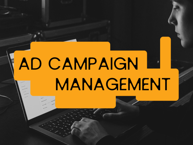Ad Campaign Management for Artist
