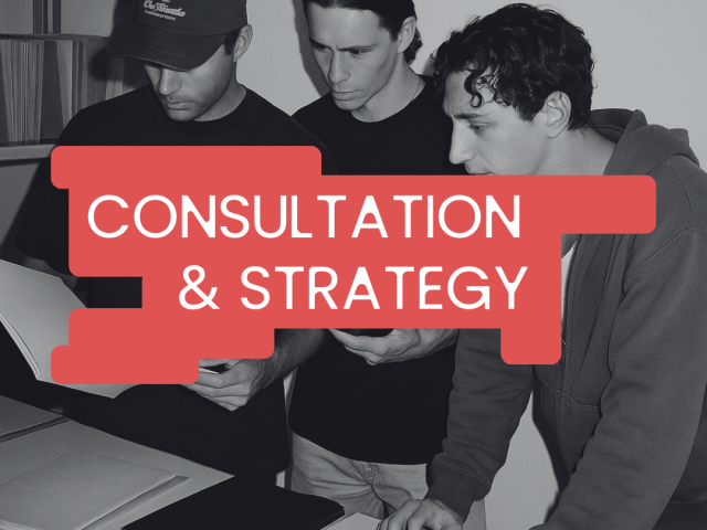 Consultation & Strategy for Organisers