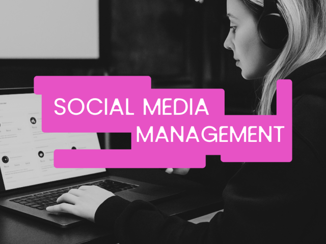 Social Media Strategy & Management for Artist