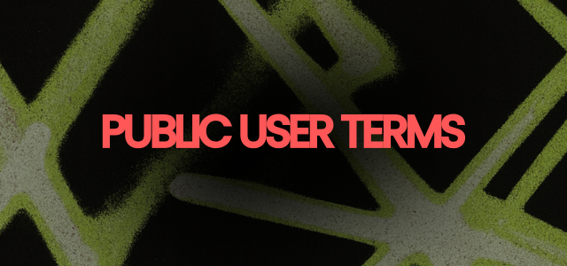 Public User Terms